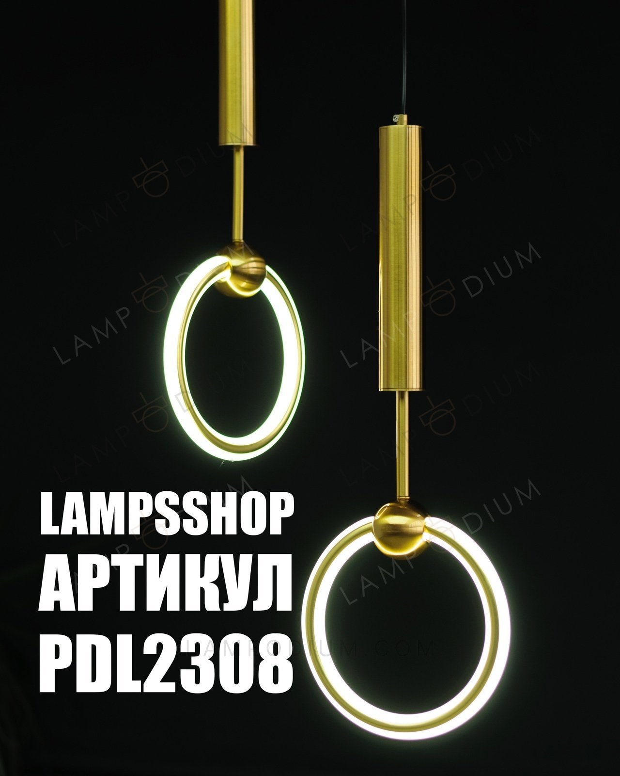 Pendant light RING B