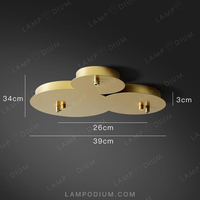 Accessory CEILING MOUNT 6