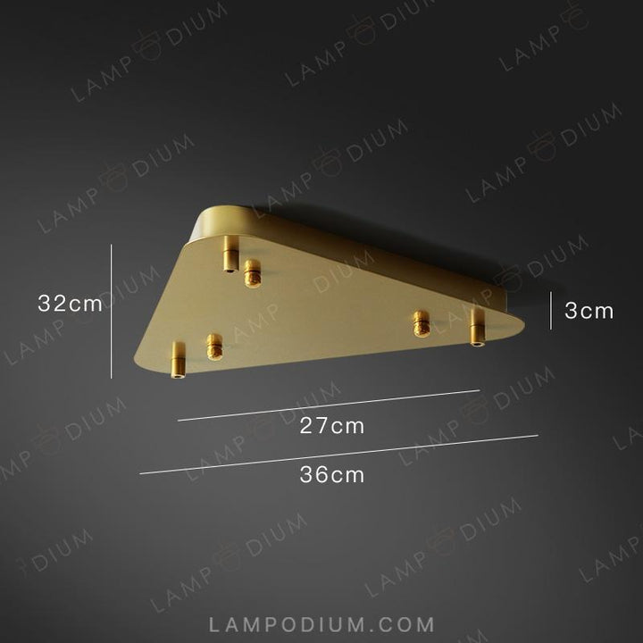 Accessory CEILING MOUNT 7