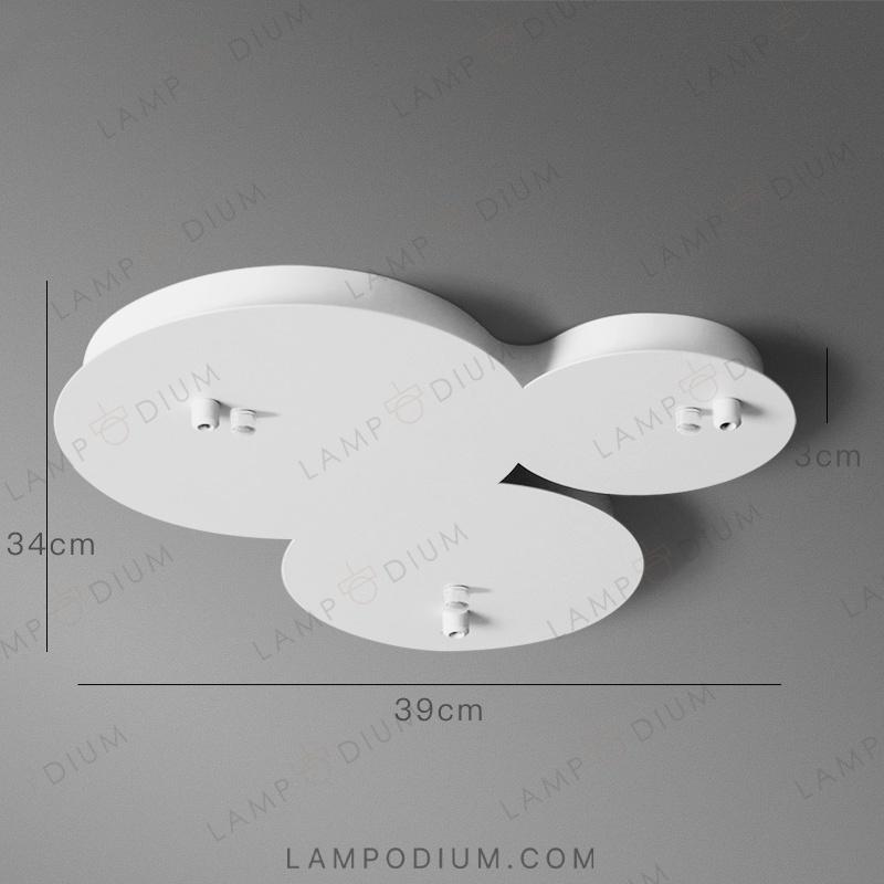 Accessory CEILING MOUNT 9