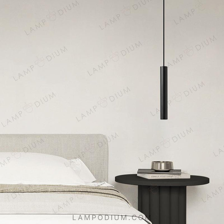 Pendant light DINUS