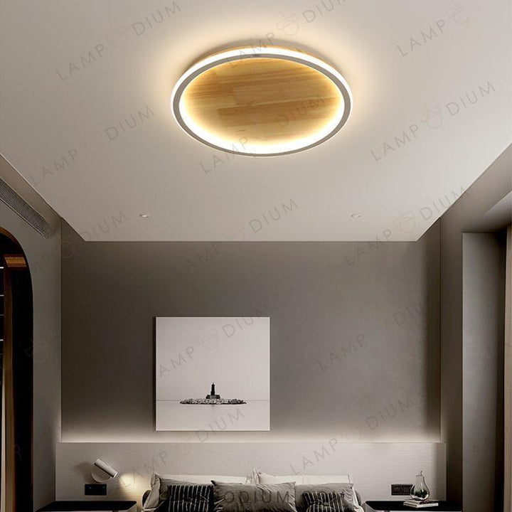 Ceiling light fixture DOLAN