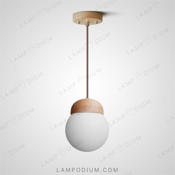 Hanging light fixture EARL