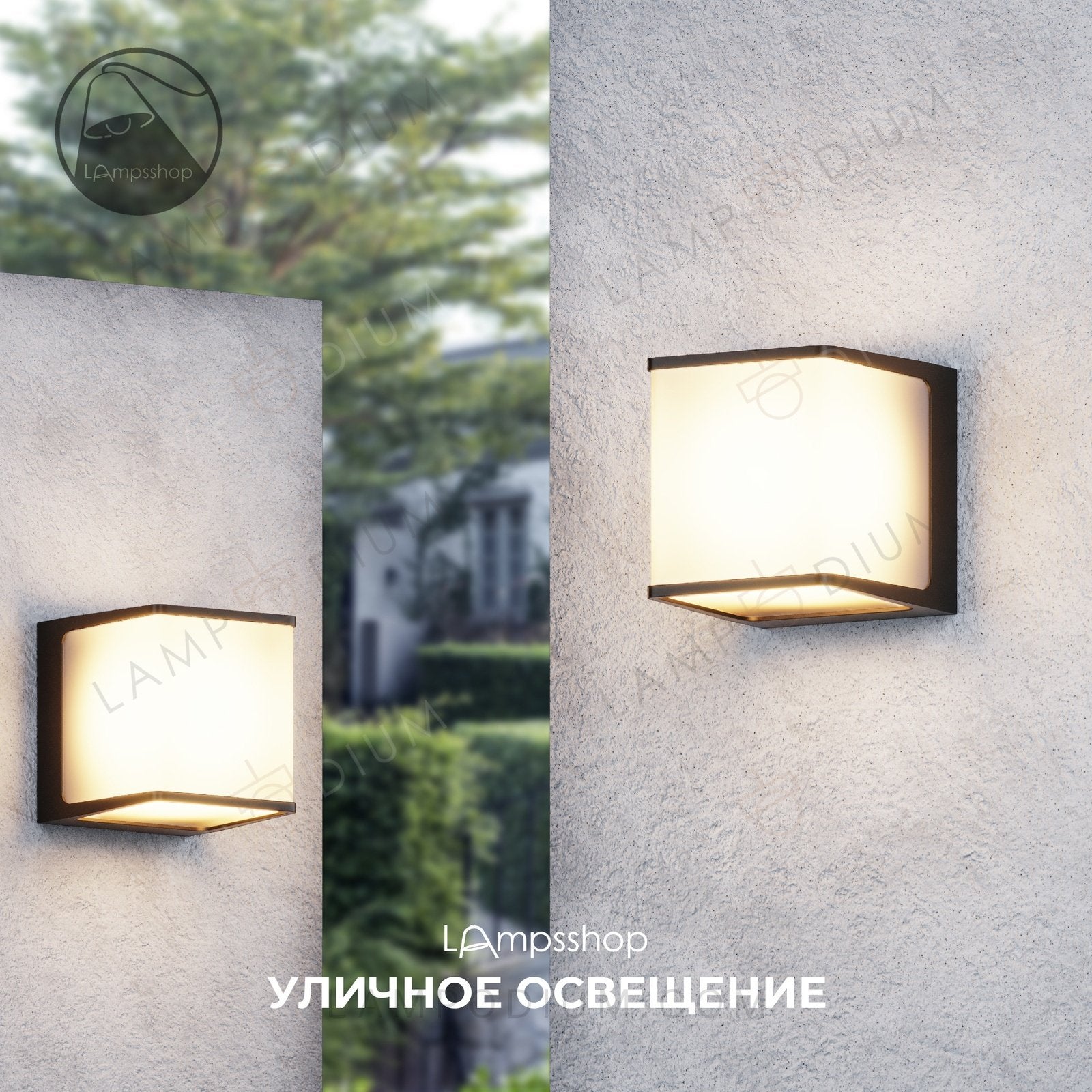 Wall sconce IGOSE