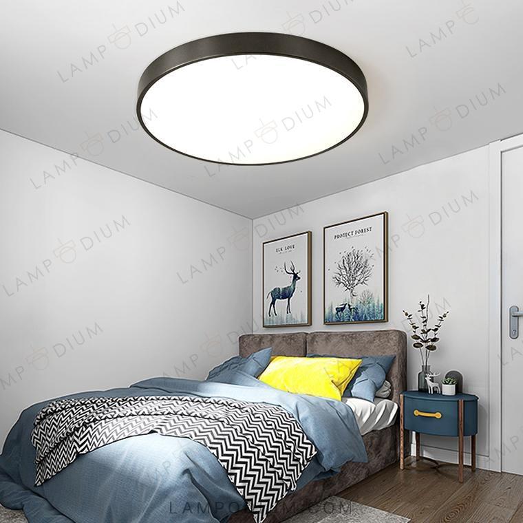 Ceiling light fixture FLIMS