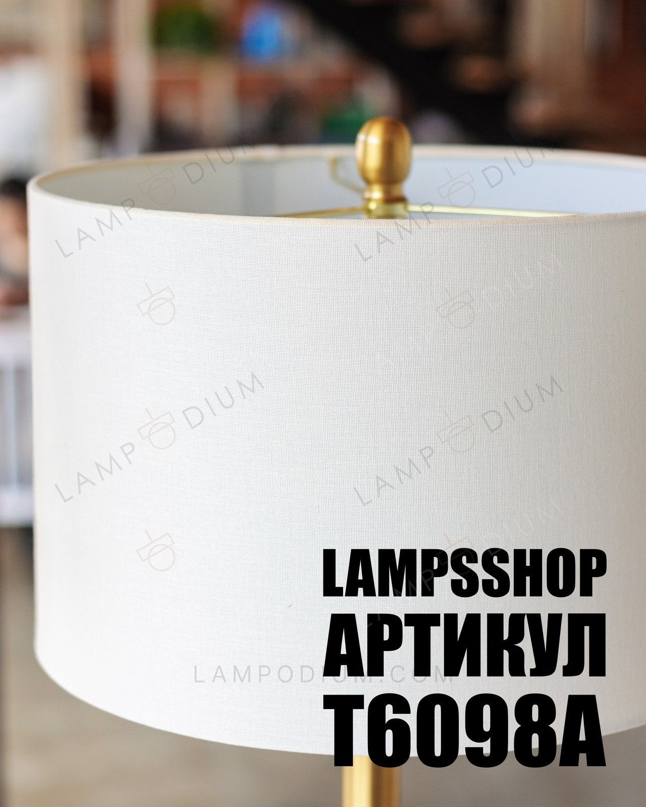 Floor lamp RAYX