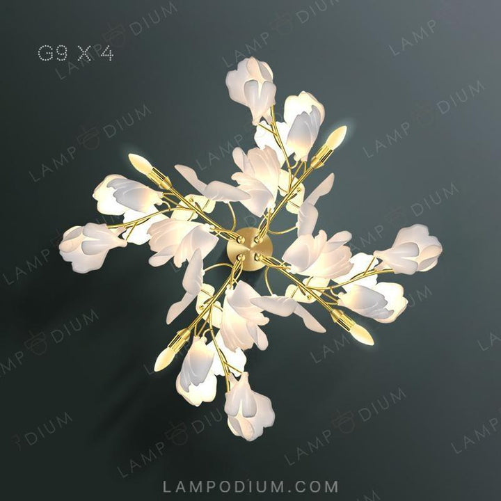 Wall lamp JULIETTA WALL