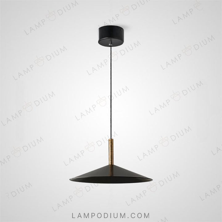 Pendant light RAID