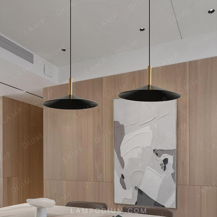 Pendant light RAID