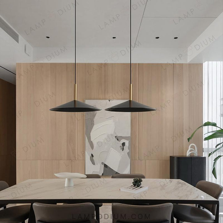 Pendant light RAID