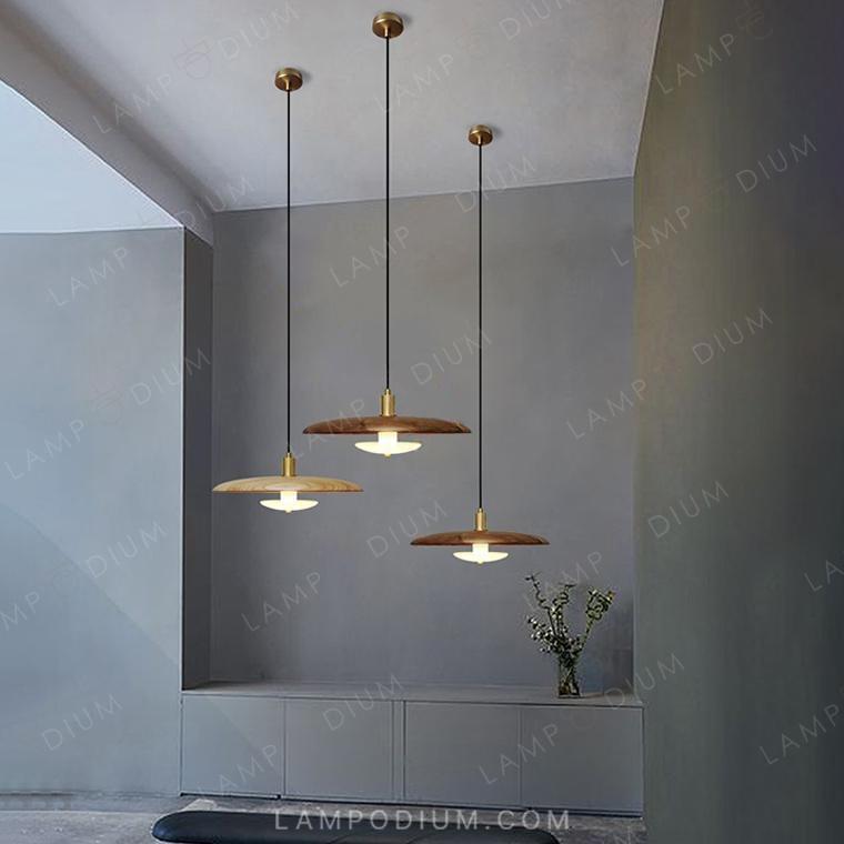 Pendant light REASON