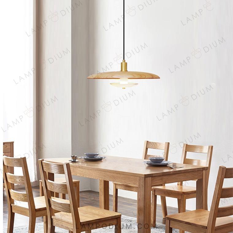 Pendant light REASON