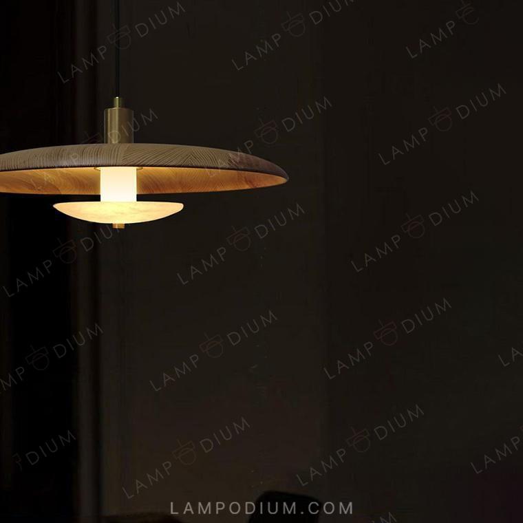 Pendant light REASON